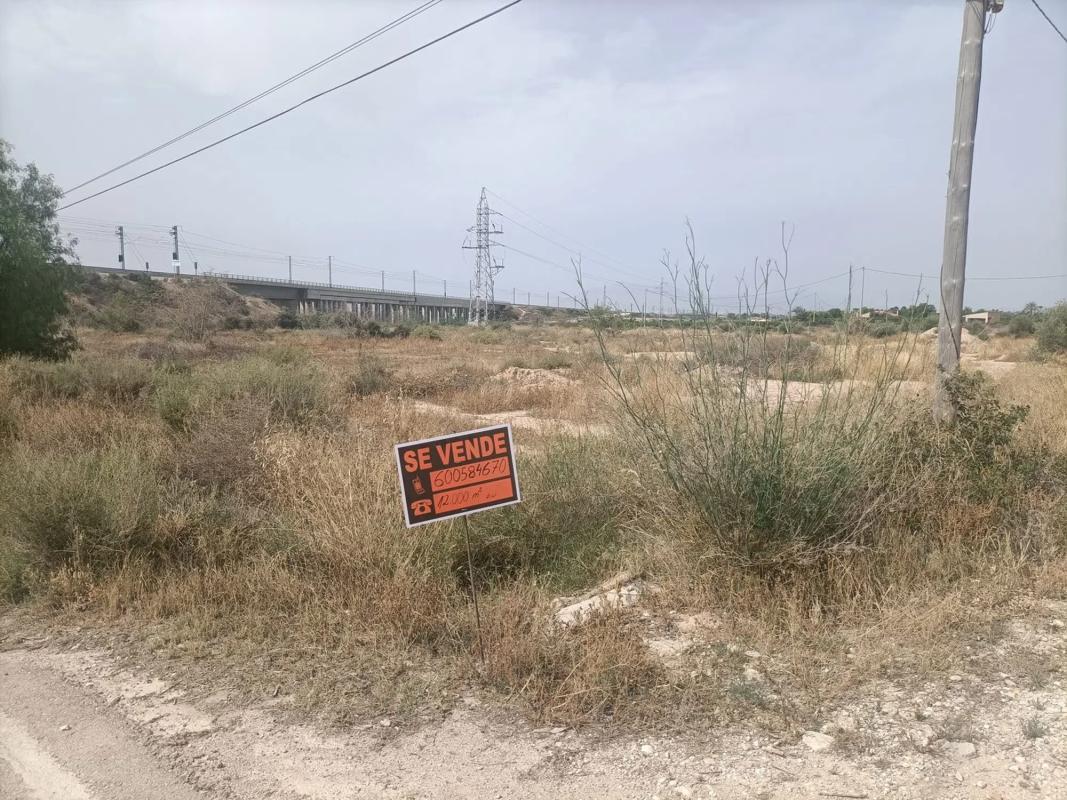 Land for sale in Crevillente, Alicante photo 2
