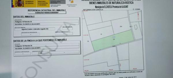 Terreno en Partida de Algoda s/n camiodeloscoves photo 4