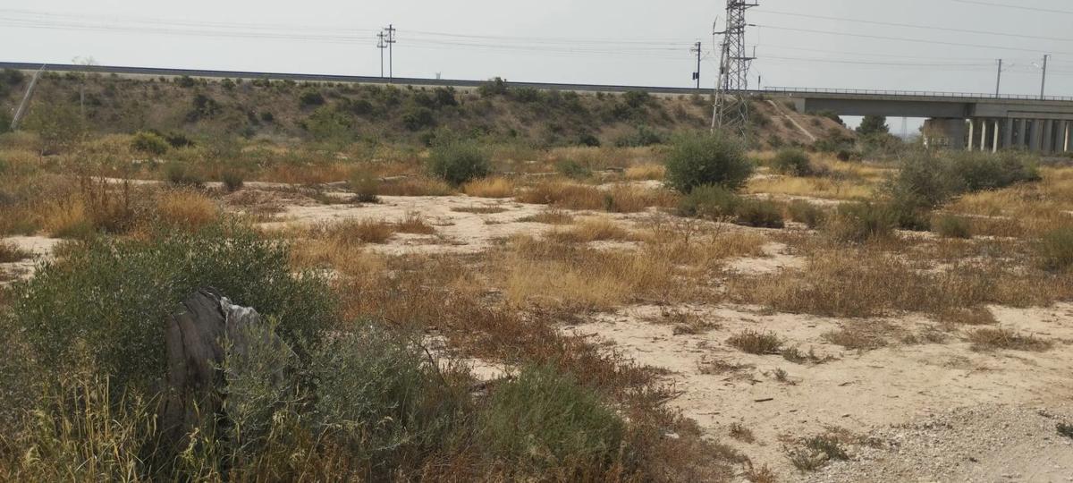 Land for sale in Crevillente, Alicante photo 3