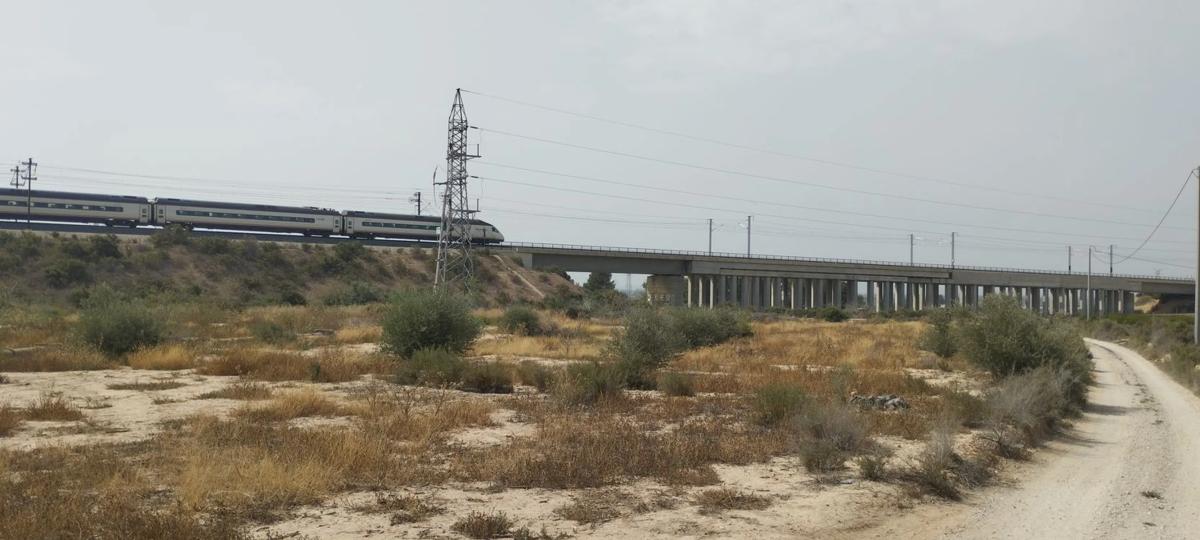Land for sale in Crevillente, Alicante photo 4