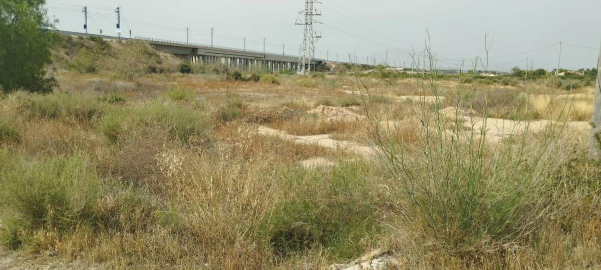 Land for sale in Crevillente, Alicante photo 5