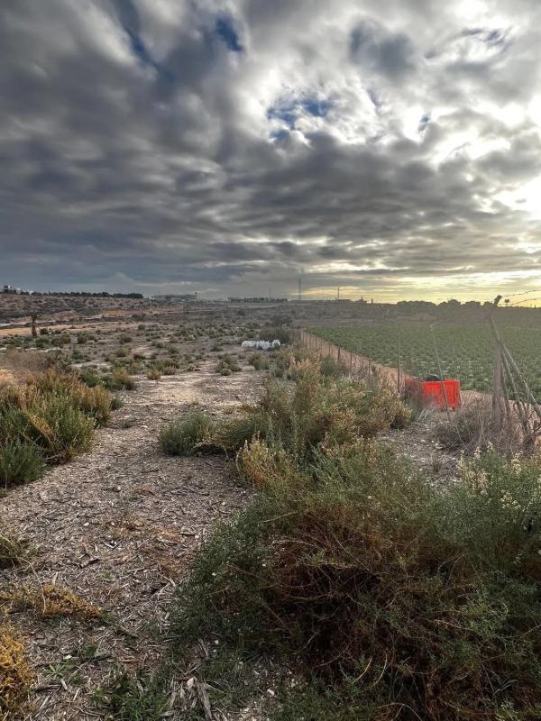 Terreno en venta en Elche / Elx, Alicante photo 3