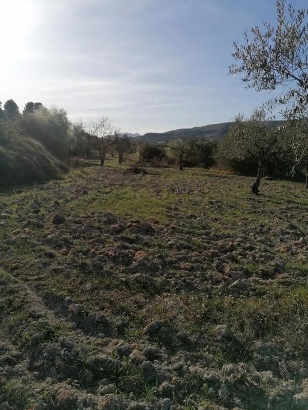 Działka na sprzedaż w Cuatretondeta, Alicante photo 1