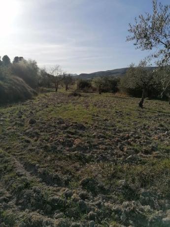 Terreno en trinquete s/n photo 1