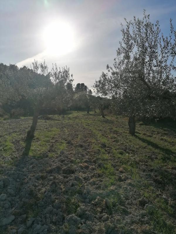 Działka na sprzedaż w Cuatretondeta, Alicante photo 3