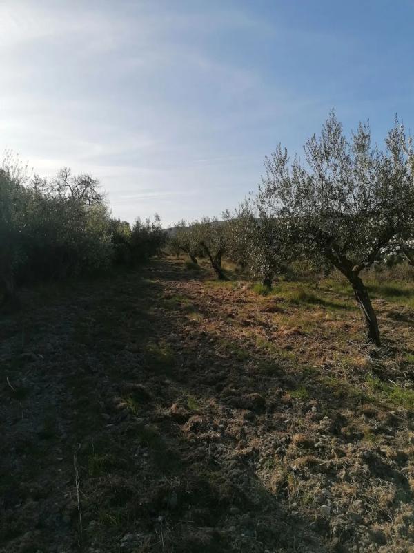 Działka na sprzedaż w Cuatretondeta, Alicante photo 4