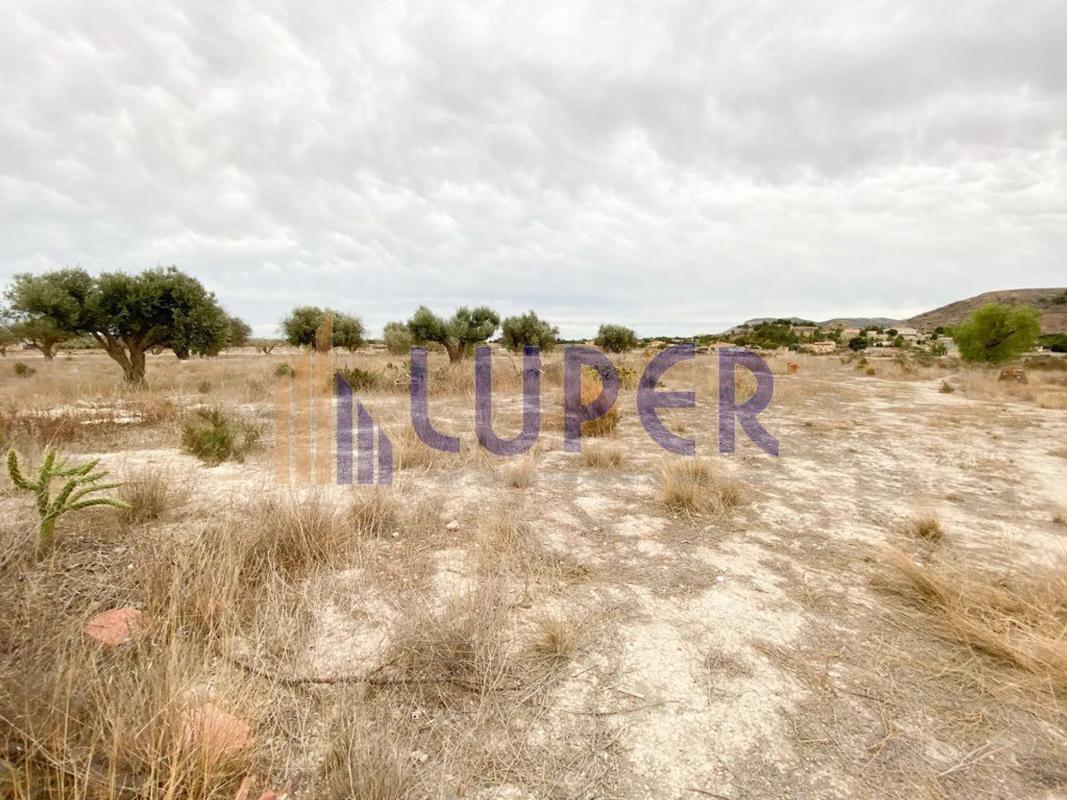Участок земли на продажу в Агост, Аликанте photo 5
