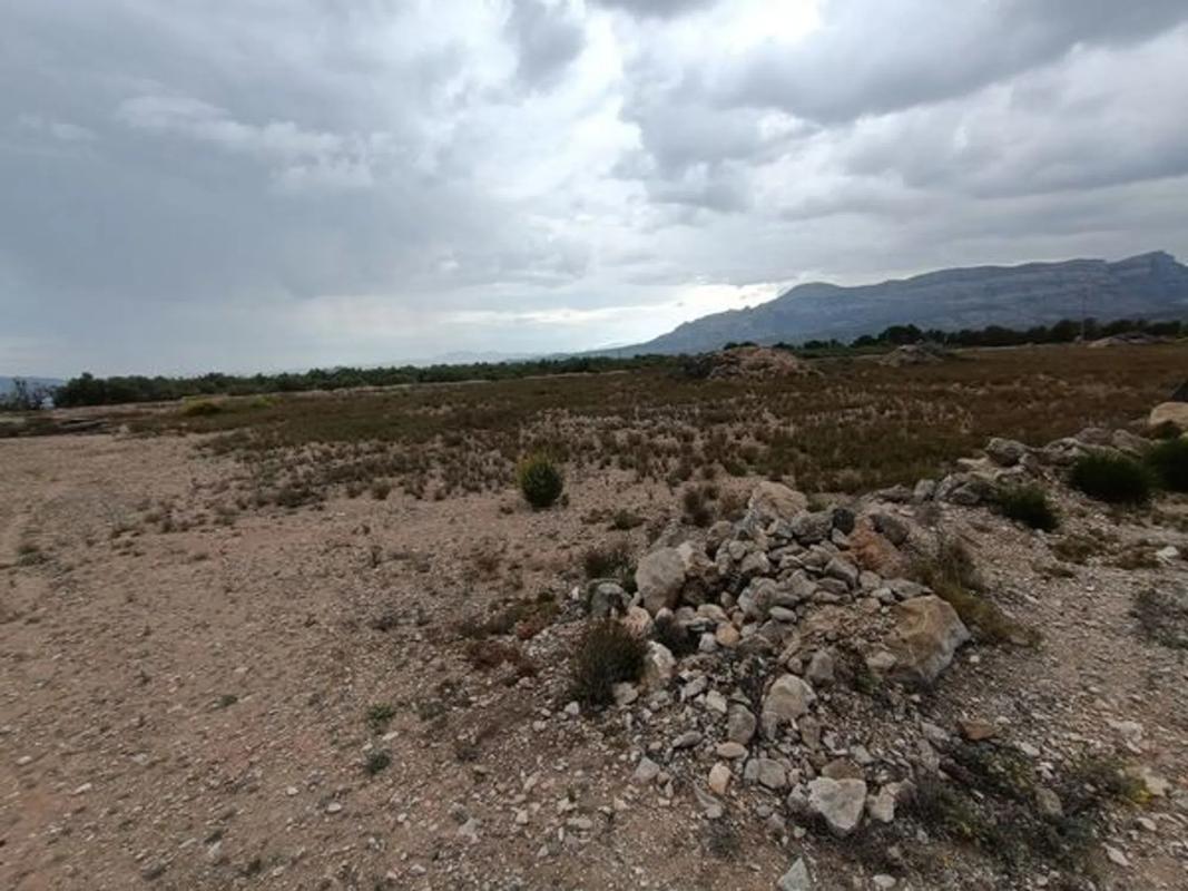 Land for sale in August, Alicante photo 3