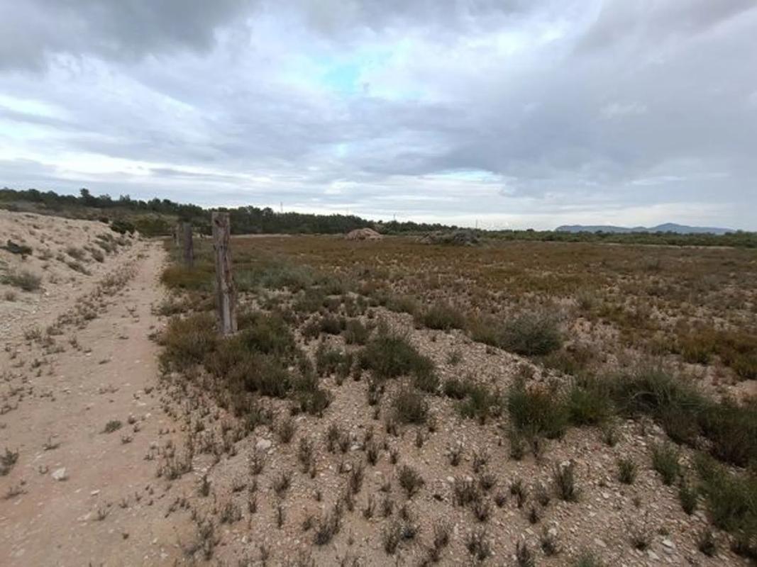 Land for sale in August, Alicante photo 4