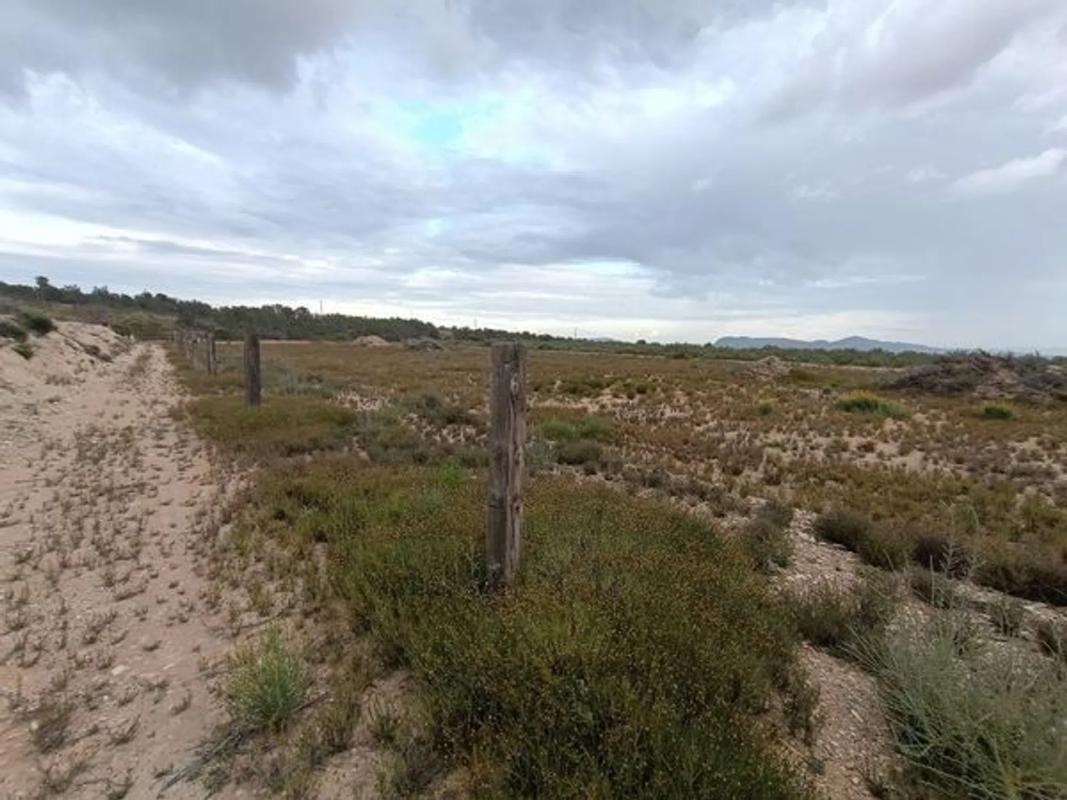 Land for sale in August, Alicante photo 5