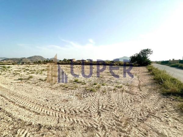 Terreno en Alcalde Felipe Mallol photo 1