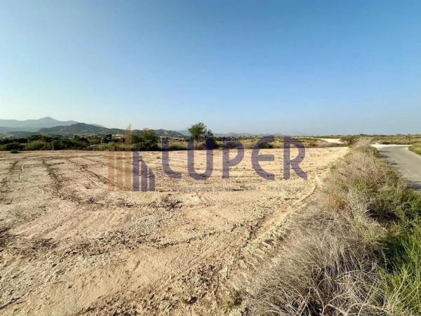 Terreno en Alcalde Felipe Mallol photo 4