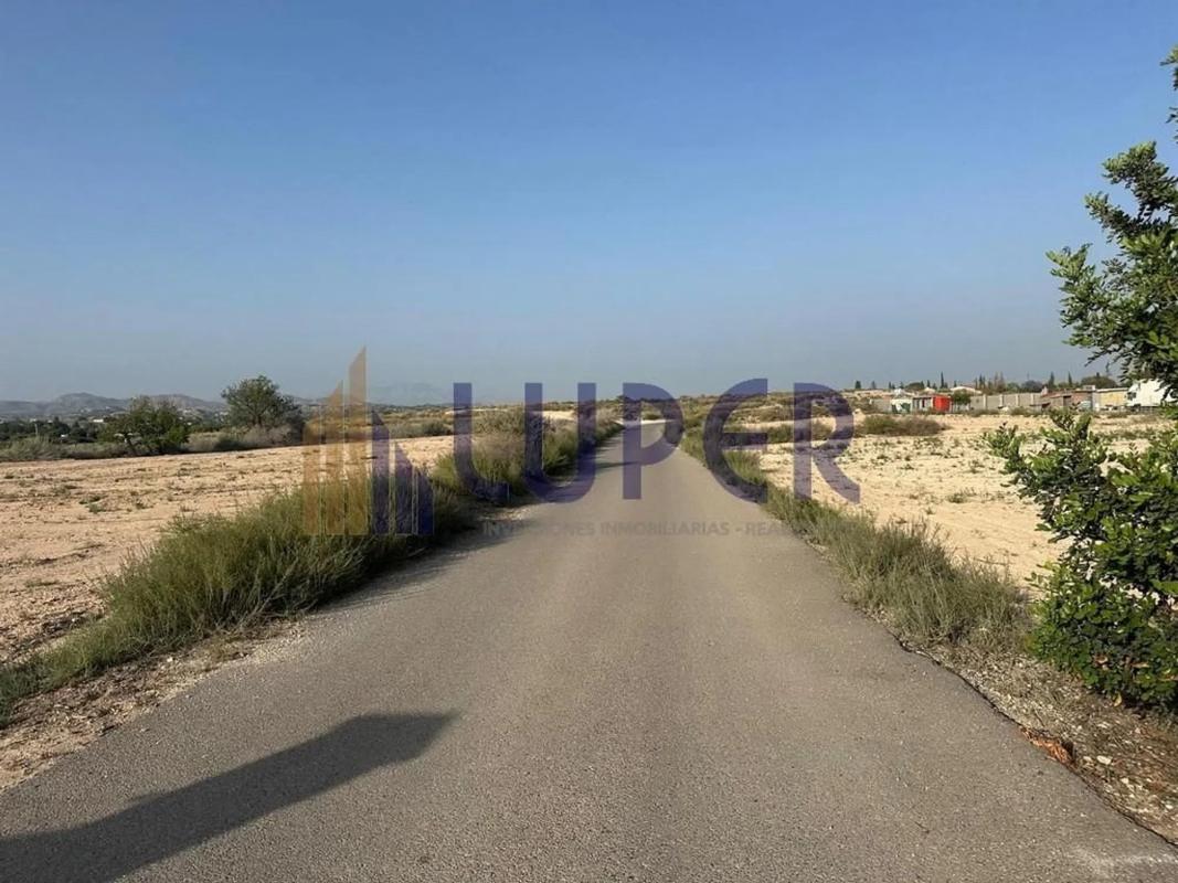 Участок земли на продажу в Сан-Висенте-дель-Распейг, Аликанте photo 5