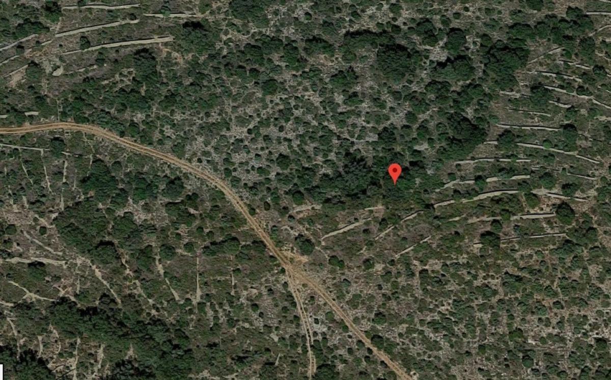 Land for sale in Banyeres de Mariola, Alicante photo 3