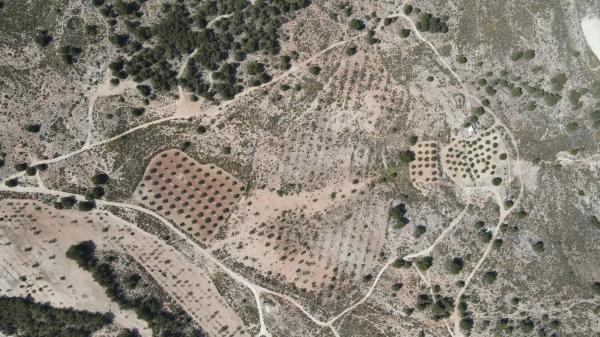 Terreno en calle Madrid photo 1