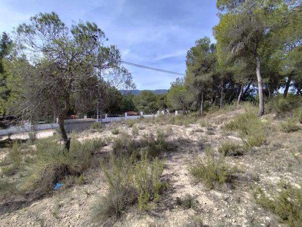 Terreno en Tibi photo 1