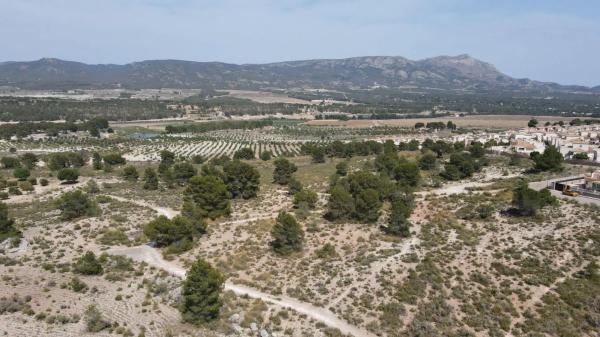 Terreno en calle Madrid photo 4