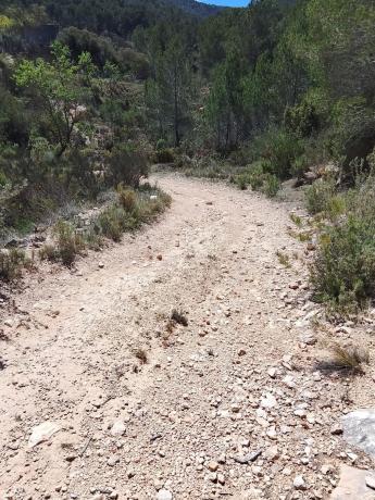 Terreno en Tibi photo 2