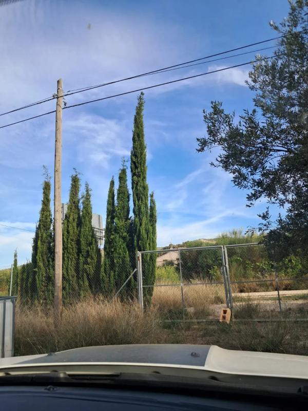 Land for sale in Castalla, Alicante photo 1