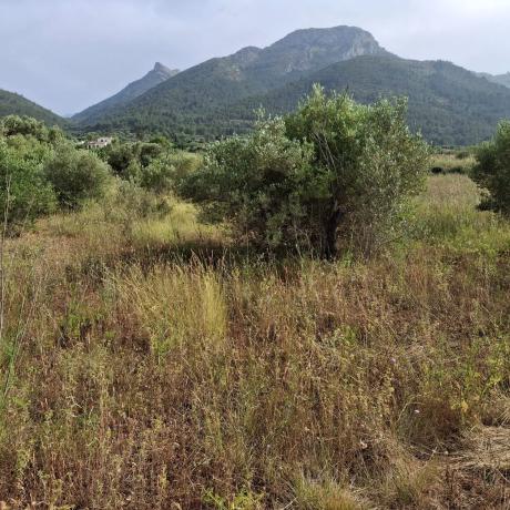 Terreno en via Sense Nom s/n photo 1