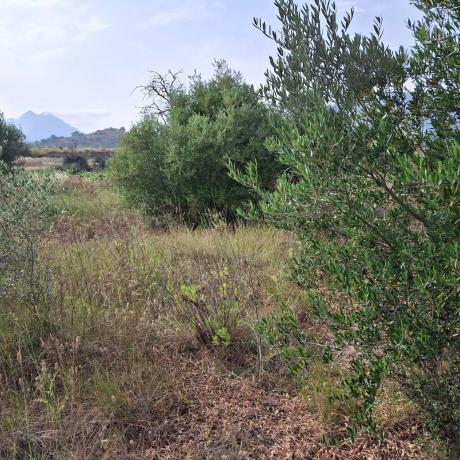 Terreno en via Sense Nom s/n photo 3