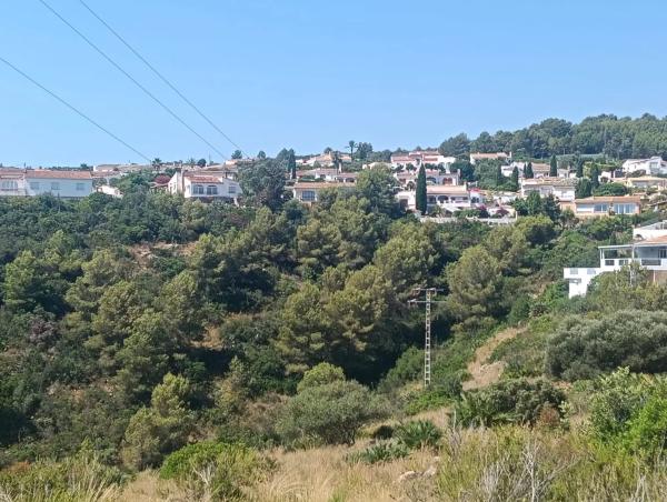 Terreno en Aldea de Las Cuevas photo 3