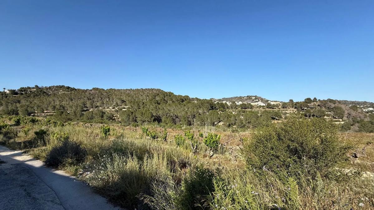 Działka na sprzedaż w Benissa, Alicante photo 3