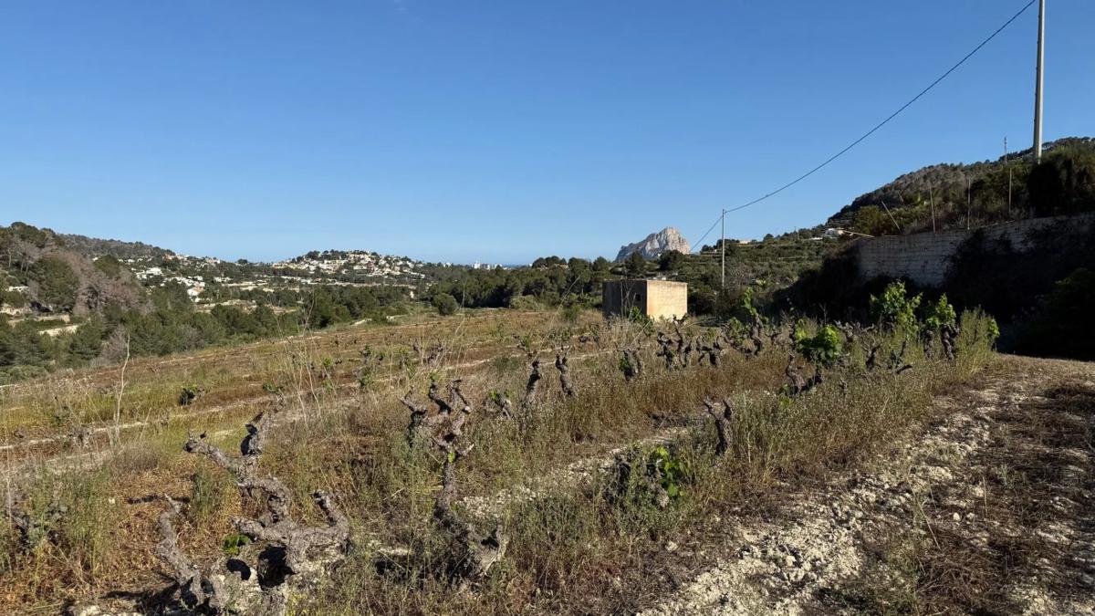 Działka na sprzedaż w Benissa, Alicante photo 5