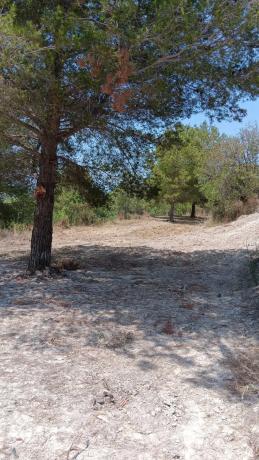 Terreno en Partida Valentins, 315 photo 1