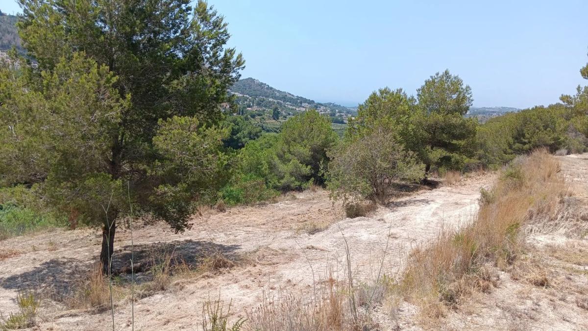 Działka na sprzedaż w Benitachell, Alicante photo 3