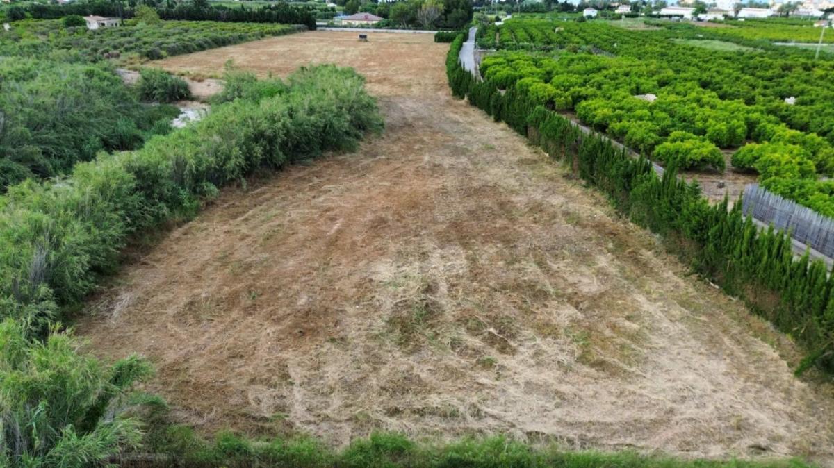 Terreno en venta en Els Poblets, Alicante photo 4