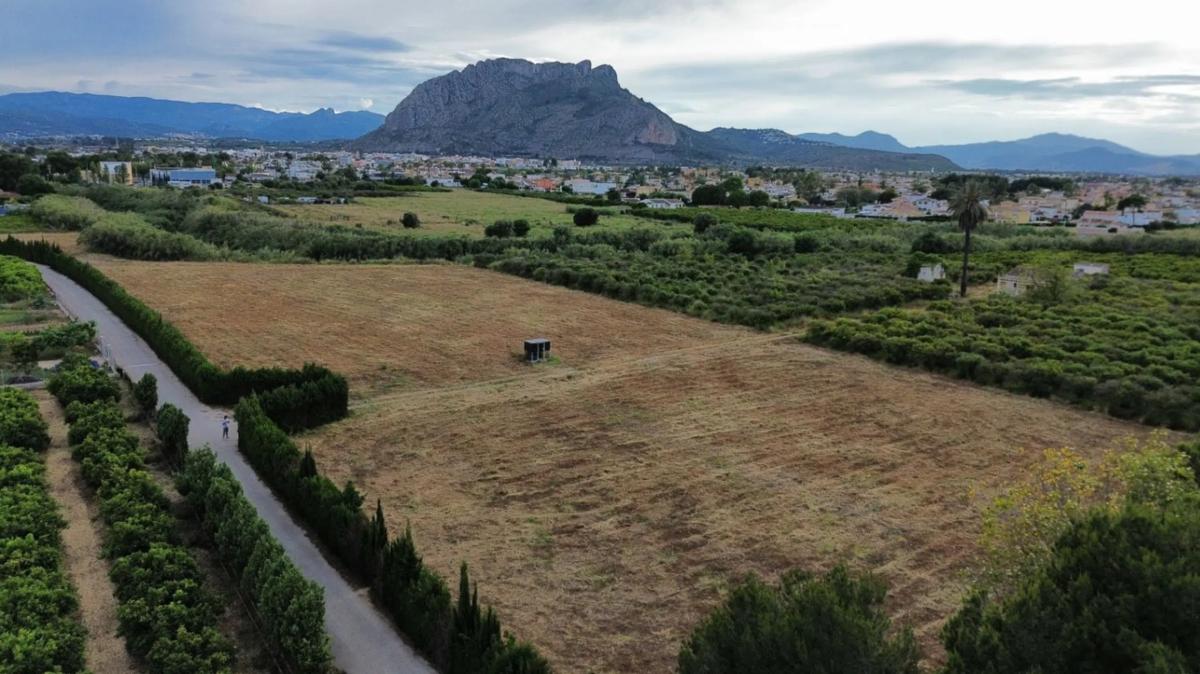 Terreno en venta en Els Poblets, Alicante photo 5