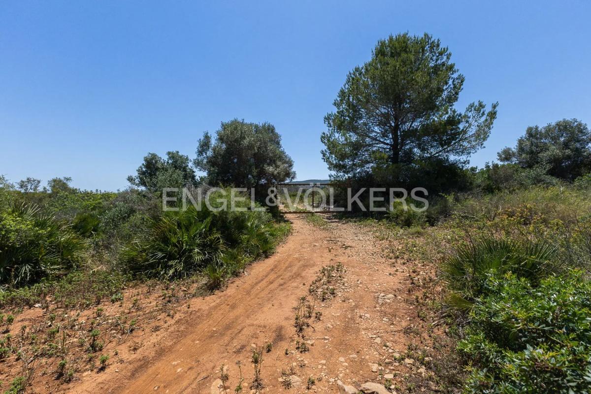 Land for sale in Gata de Gorgos, Alicante photo 2