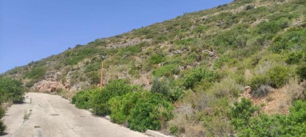 Terreno en Jalón photo 1