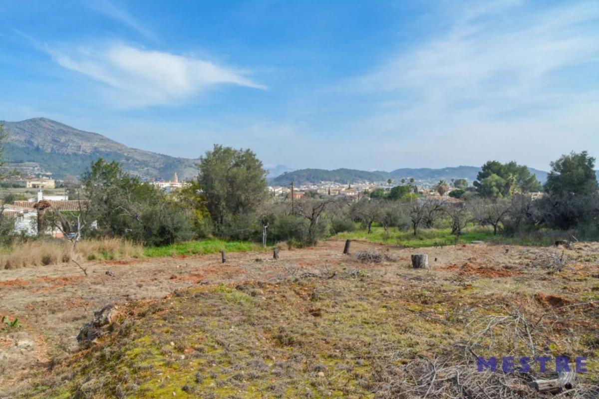 Land for sale in Jalón, Alicante photo 1
