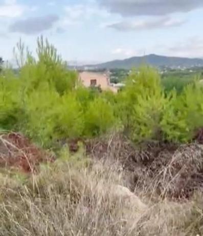 Terreno en Cap Martí - Pinomar thumbnail 1