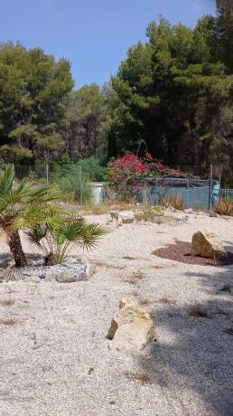 Terreno en Cap Martí - Pinomar photo 2