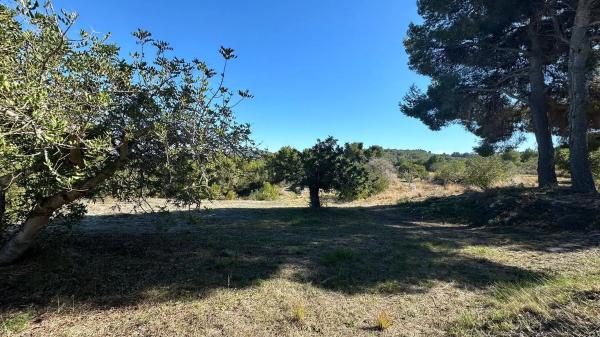 Terreno en calle dels Puig Molins s/n thumbnail 1
