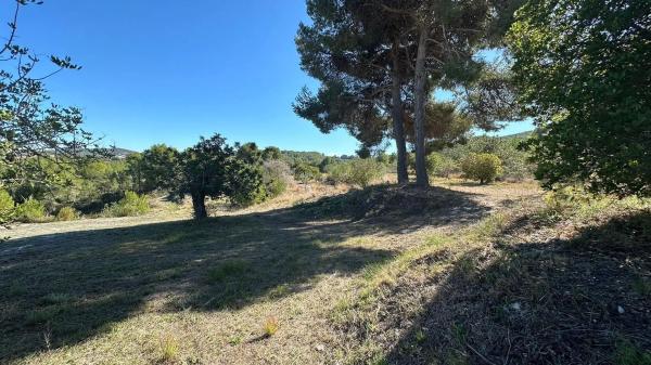 Terreno en calle dels Puig Molins s/n thumbnail 2