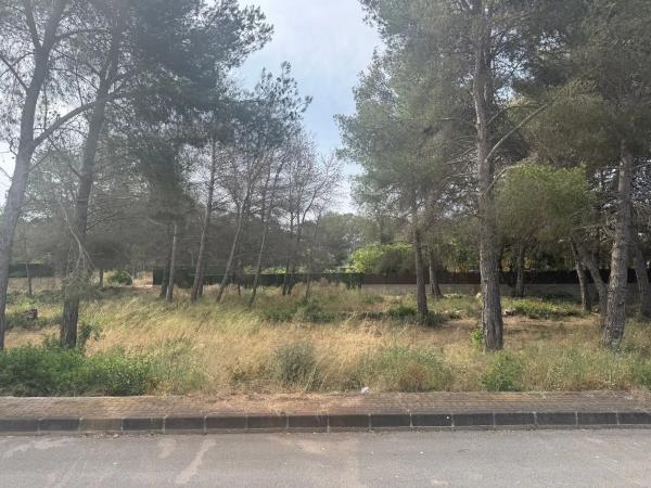Terreno en calle de la Falzia, 15 photo 1