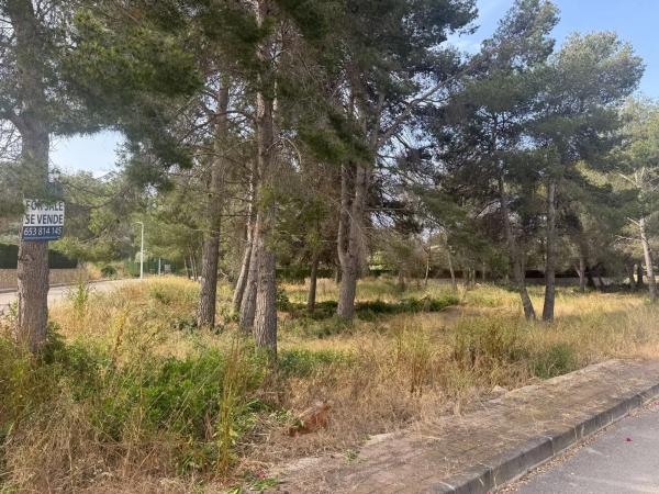Terreno en calle de la Falzia, 15 thumbnail 2