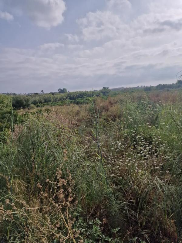 Działka na sprzedaż w Ondara, Alicante photo 4