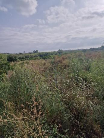 Terreno en Cv-731, km 7 photo 4