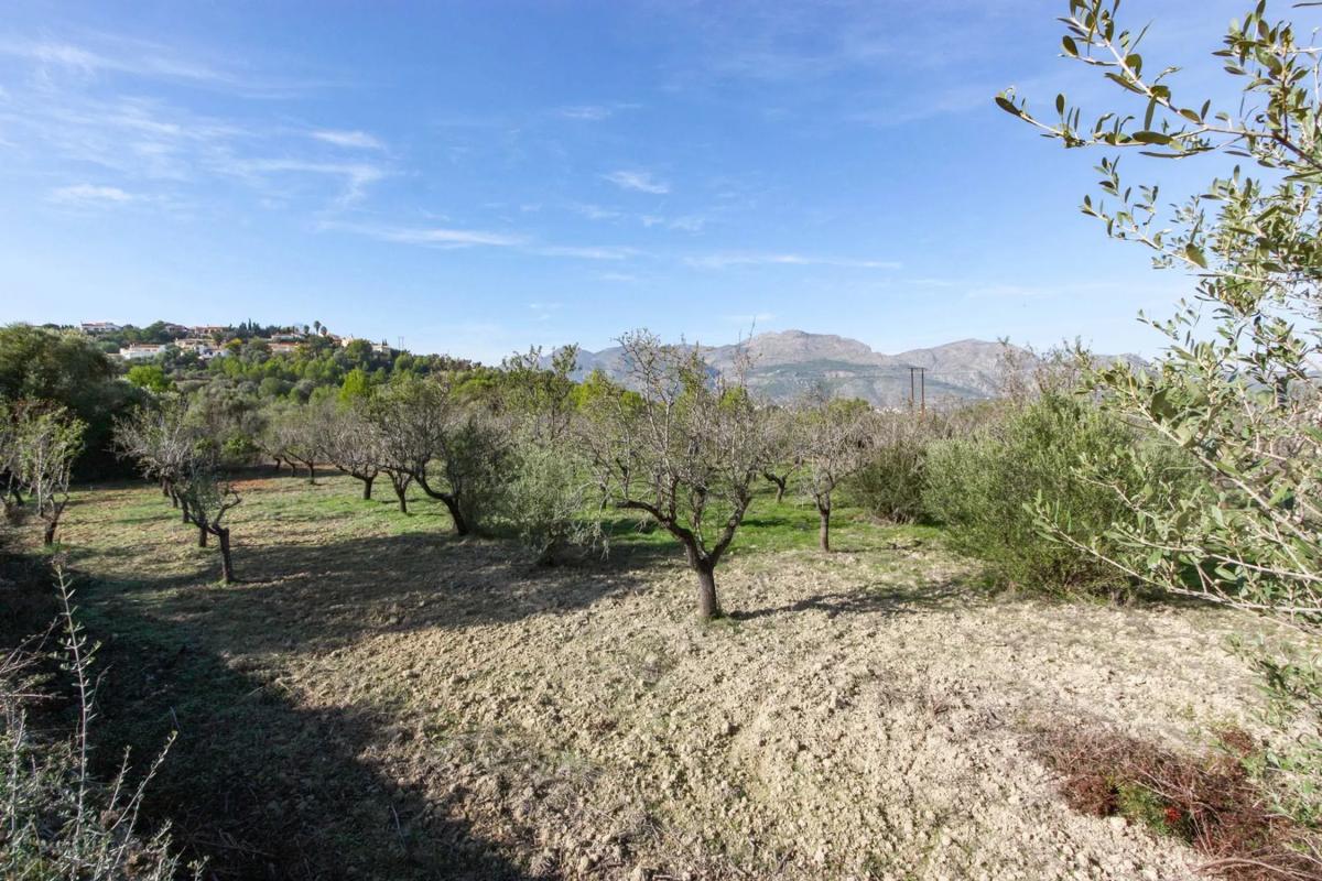 Terreno en venta en Orba, Alicante photo 3