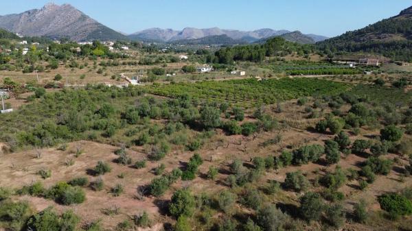 Terreno en Poligono 3 s/n Sn photo 2