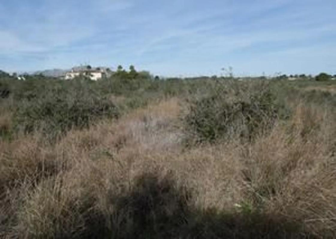 Terreno en venta en Pedreguer, Alicante photo 3
