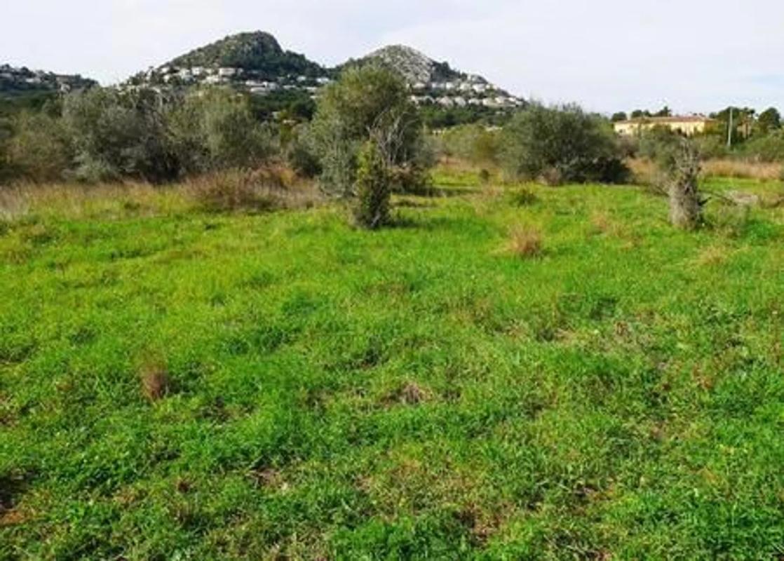 Terreno en venta en Pedreguer, Alicante photo 4