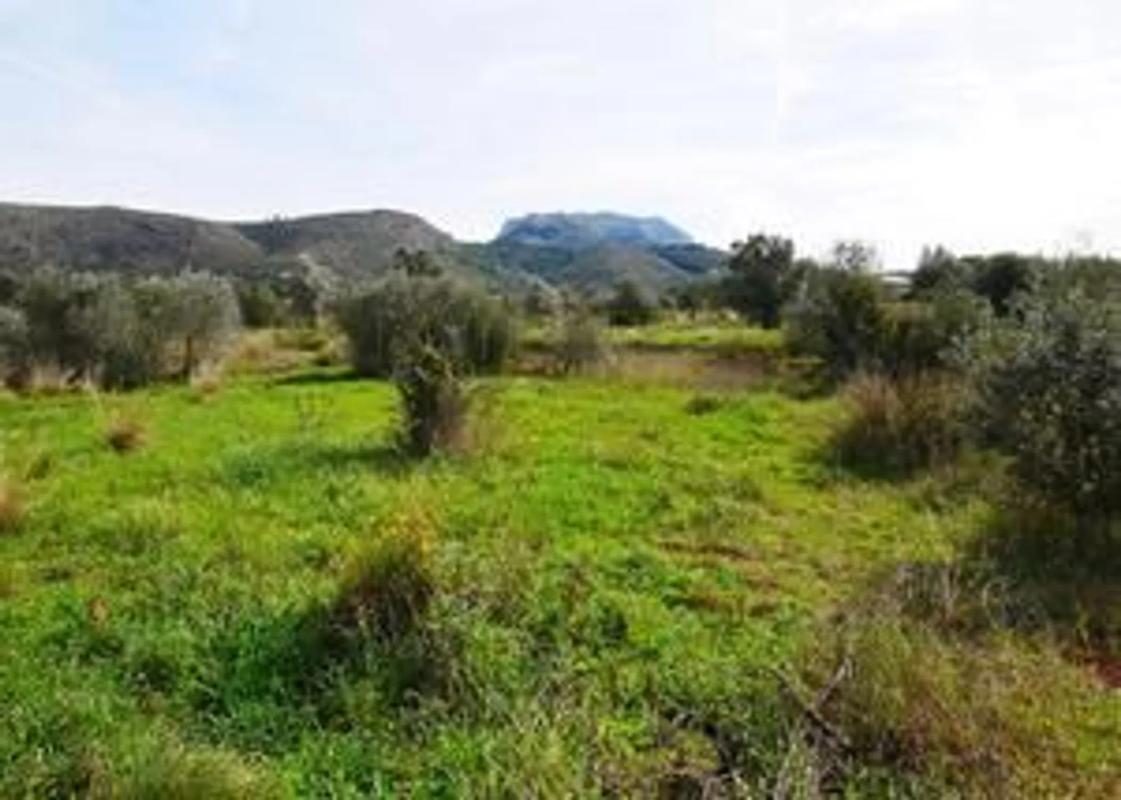 Terreno en venta en Pedreguer, Alicante photo 5