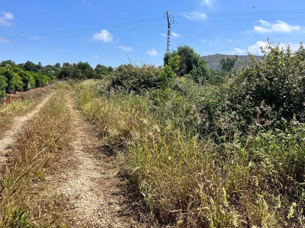 Land for sale in Pedreguer, Alicante photo 1