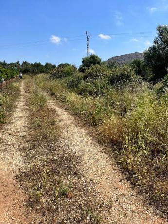 Terreno en La Sella photo 2